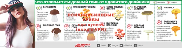 Альфа ПВП Белокуриха