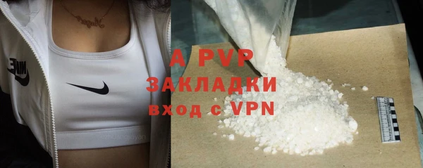 шишки Беломорск