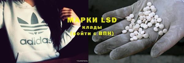 шишки Беломорск
