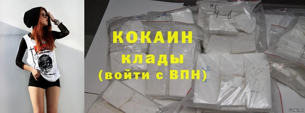 тгк Богданович