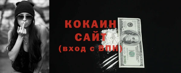 шишки Беломорск