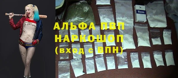 шишки Беломорск