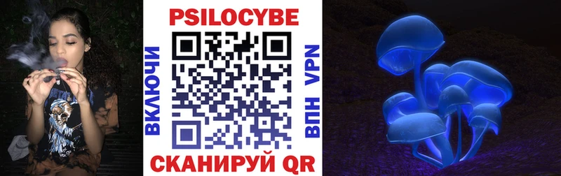 Галлюциногенные грибы Psilocybe  Жуков 